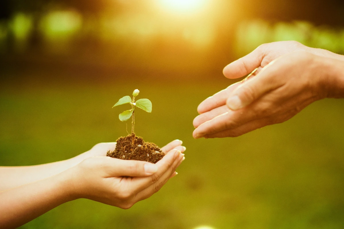 Sermão: Deus é Quem Dá o Crescimento